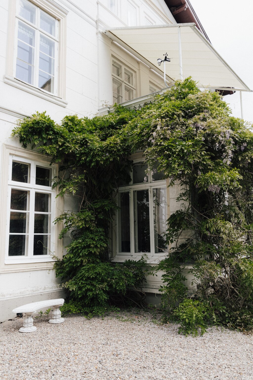 Romantisches Fenster eines historischen Herrenhauses, umrankt von wildem Efeu – märchenhafte Atmosphäre für Hochzeitsfotos.