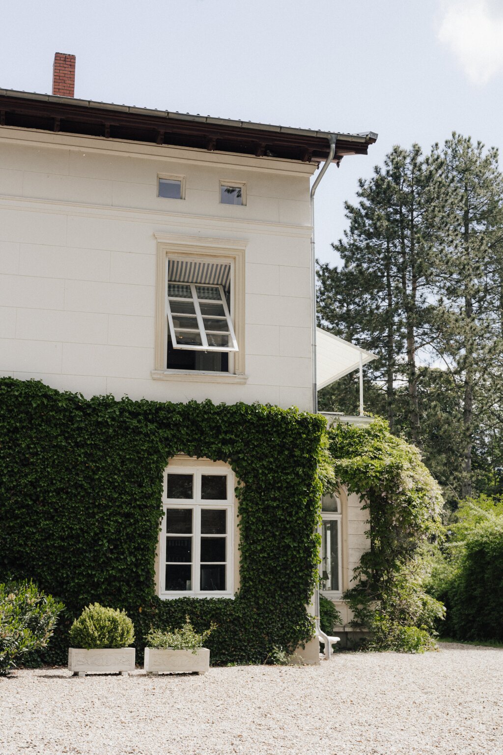 Seitenansicht eines weißen Herrenhauses mit grüner Fassadenbegrünung – eine idyllische Hochzeitslocation im Grünen.