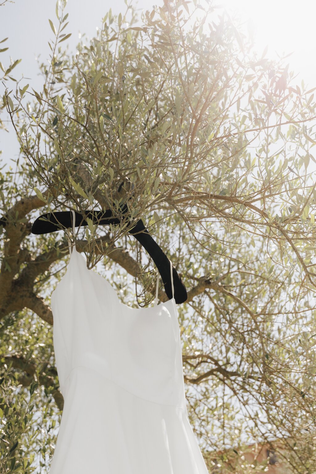 wedding dress hanging on a tuscany tree.